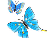 12 Pieces DIY Home Decoration 3D Butterflies Wall Stickers