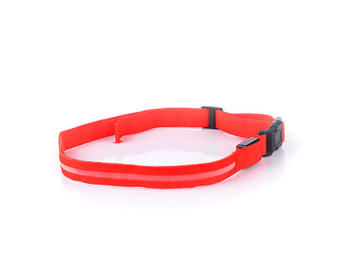 LED Running Waist Belt - Red