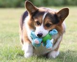 Plush Squeaky Dog Toys with Durable Chew Rubber Ball Body