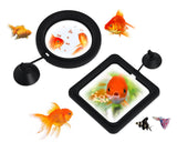Fish Feeding Ring 2 Pieces Floating Food Feeders for Aquarium and Fish Tank