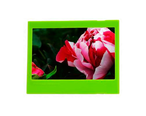 Photo Decor Frame for Fujifilm Instax Wide 210/ 200/ 300 Films - Green