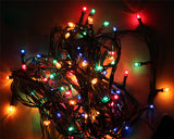 220V Multi-color 100 LED Light String Light for Christmas Party Decoration