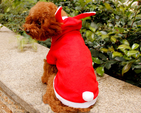 Animal Series Lovely Bunny Dog Winter Coat Pet Costume - Red