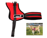Canvas Series Pet Dog Harness for Outdoor Hiking Walking