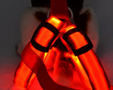 LED Light Series Adjustable Dog Harness Leash