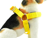 LED Light Series Adjustable Dog Harness Leash