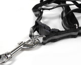 Reflective Series Nylon Dog Collar and Harness Set