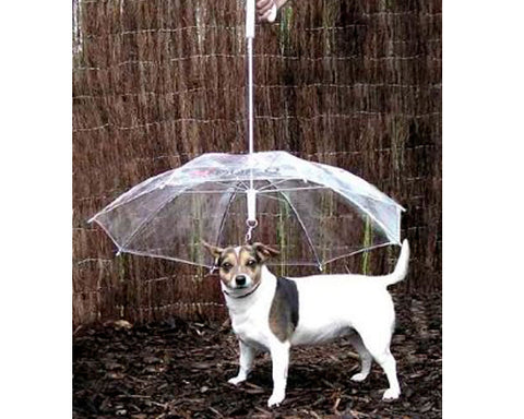 Pet Dog Umbrella with Dog Leash - Transparent